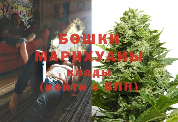 индика Алзамай