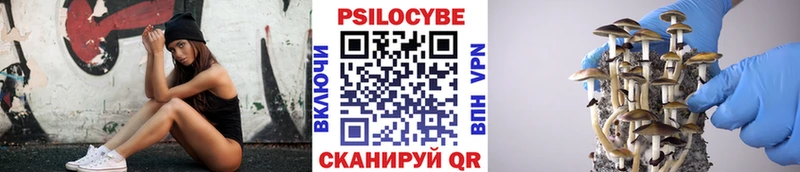 Псилоцибиновые грибы Cubensis  Куртамыш 